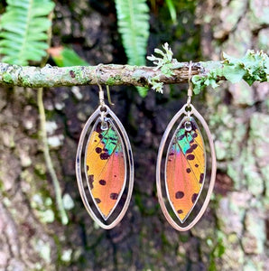 Colorful Sunset Moth Earrings