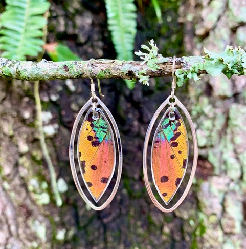 Colorful Sunset Moth Earrings