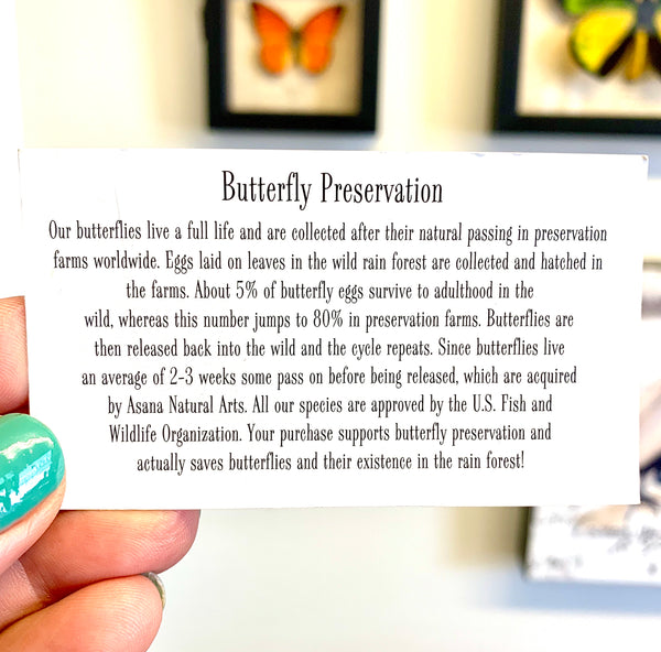 informational card about butterfly preservation