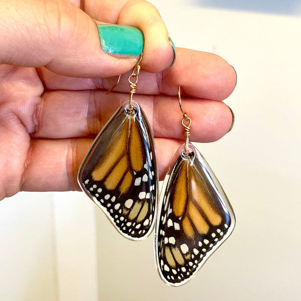 Real Monarch Butterfly Earrings
