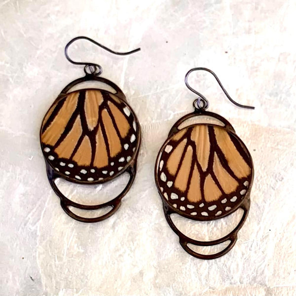 Real Monarch Butterfly Wing Earrings