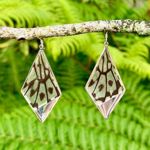 Real buttefly wing earrings. The Paper Kite butterfly features clear translucent wings  with dark brown/black markings. The wings are set in a silver diamond shape setting and coated in clear resin. Earrings are displayed hanging from a branch with green ferns in the background.   